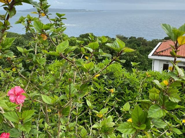 Family Villa