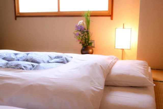 [Non-Smoking] Japanese Style Deluxe Room