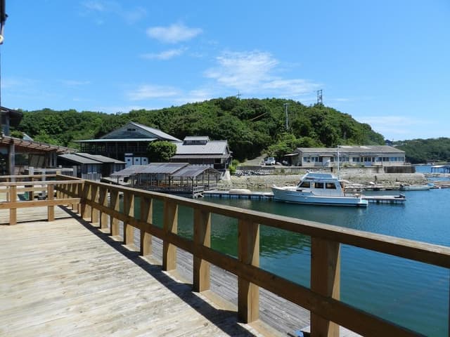 Japanese-Style Room (Ocean View)