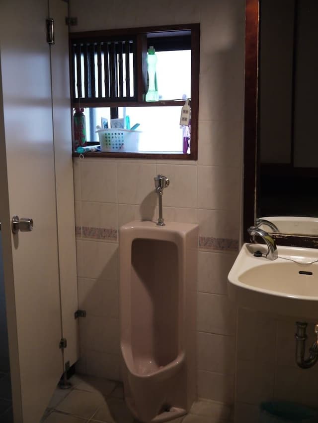 Traditional Twin Room, Non Smoking (Japanese Style)