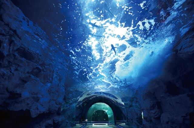 [Fun Fun Aquaplanet PKG] Deluxe Double - Breakfast + Aqua planet Ticket for 2 Pax