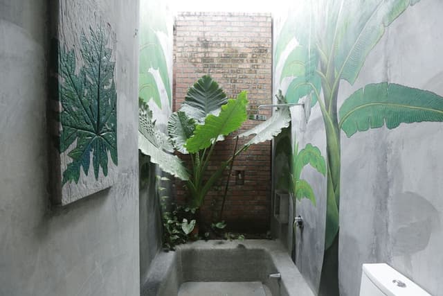 The Frangipani