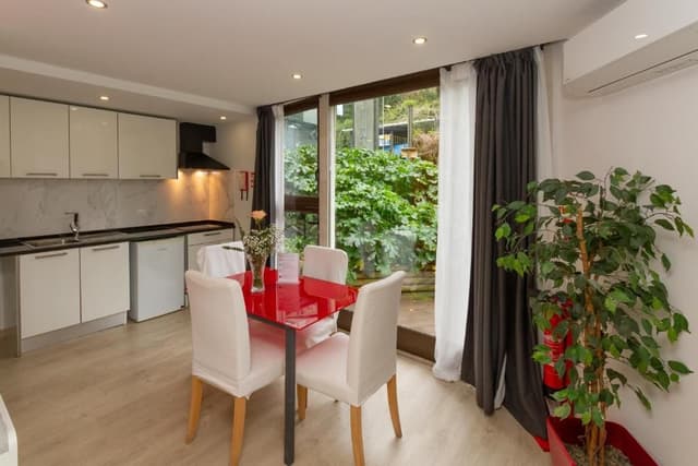 One-Bedroom Apartment (4 Adults)