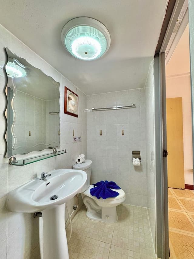 Deluxe Double Room, 1 King Bed