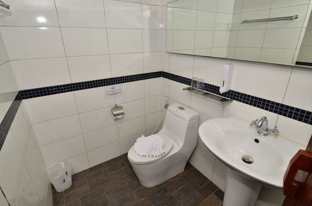 Superior Double or Twin Room