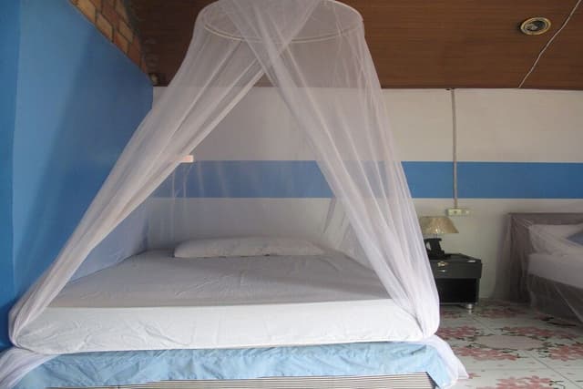 Bungalow, Sea View