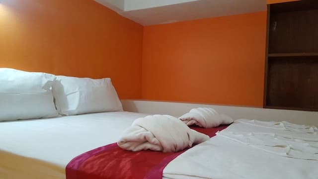 Superior Double Bed Sofa