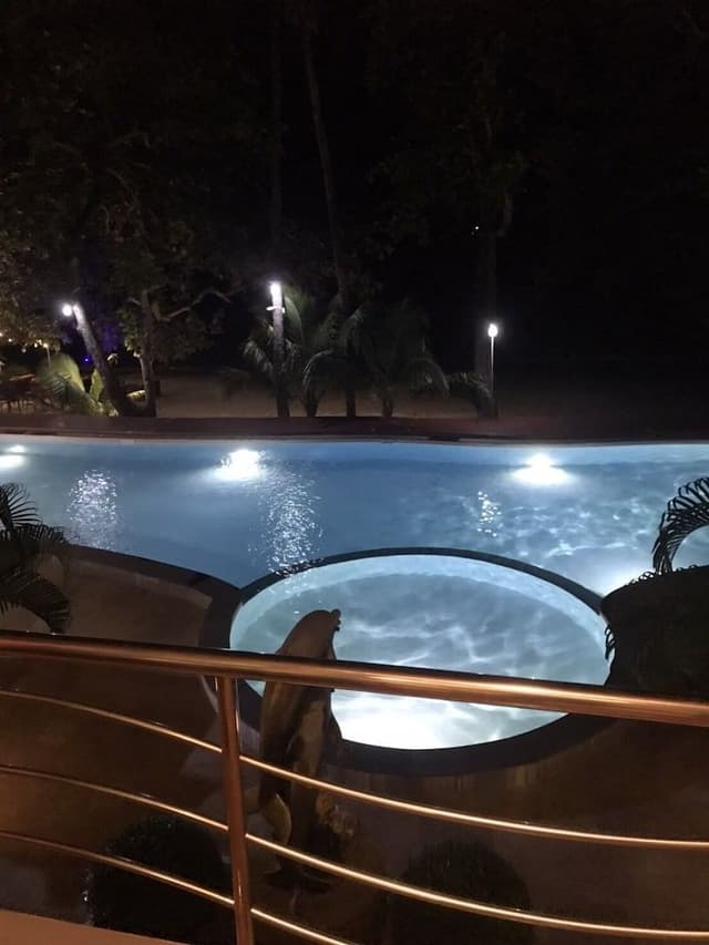 Deluxe Double Room, Balcony, Beachfront