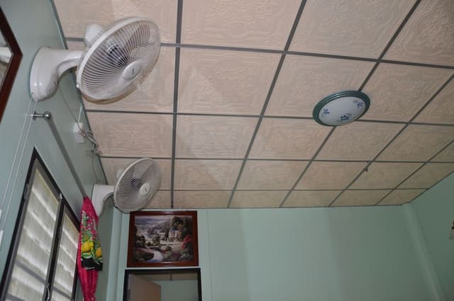 Standard Room Fan