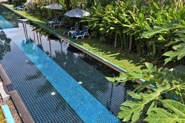 Executive Suite, Non Smoking, Pool View