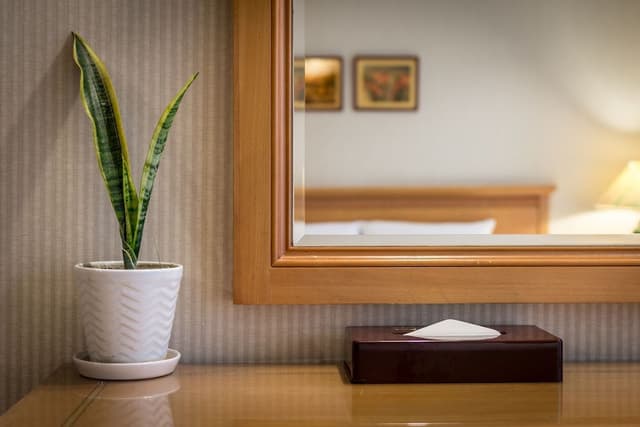 Deluxe Suite, 1 Double Bed