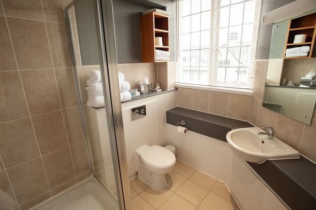 Executive Room (King)