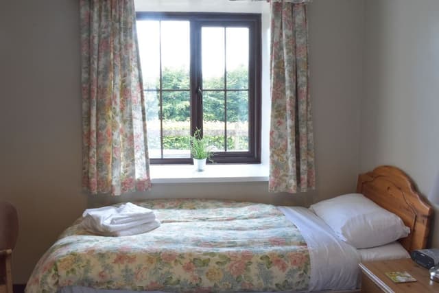 Standard Double or Twin Room, Ground Floor
