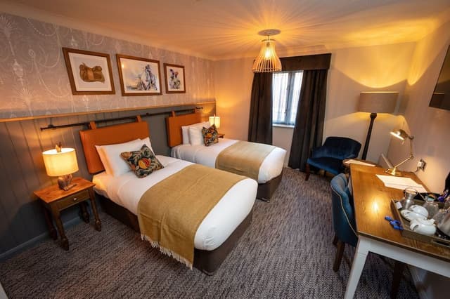 Twin Room