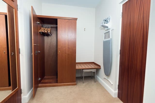 Deluxe Room, 1 King Bed, Non Smoking