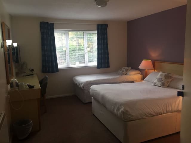 Standard Room (King Room)