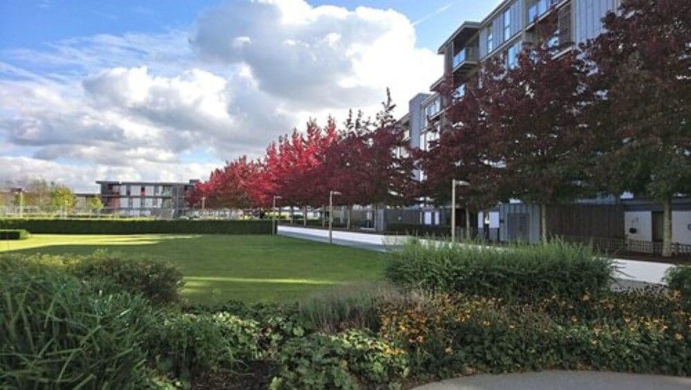 City Stay Apartments - Vizion City Stay Apartments - Vizion