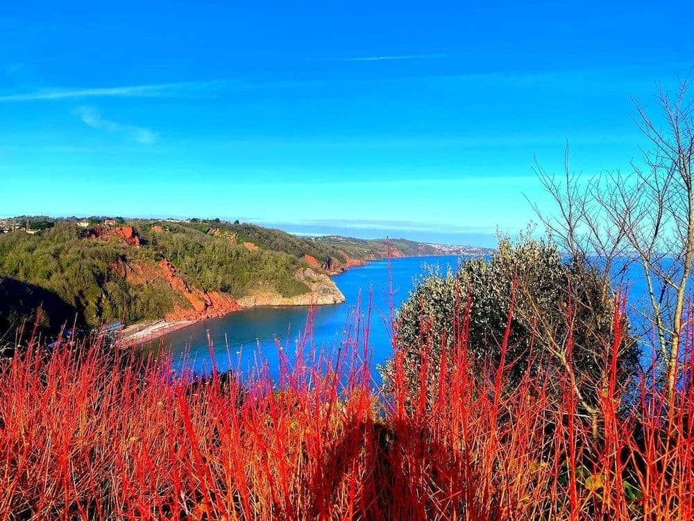Babbacombe Palms Babbacombe Palms