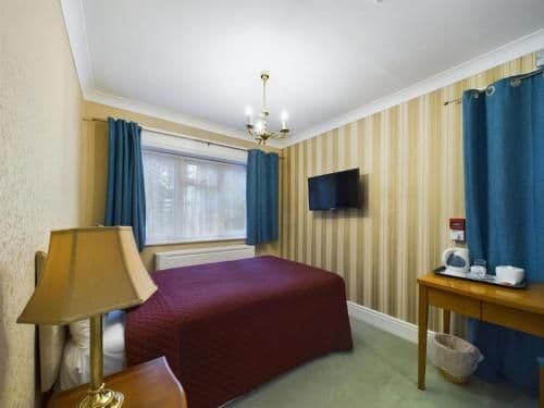 Executive Single Room