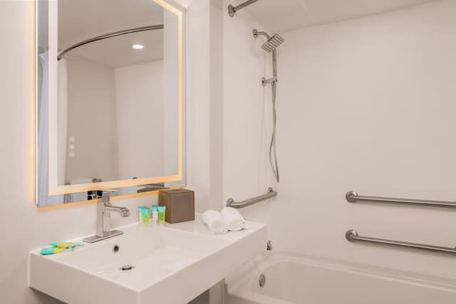 One King Bed, Mobility/Hearing Handicap Room, Roll-In Shower, Non-Smoking