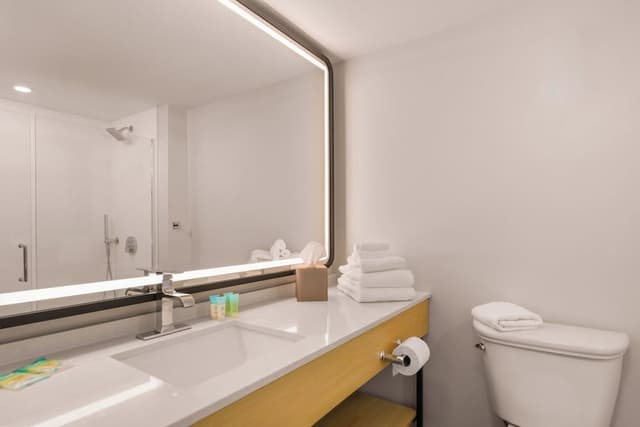 One King Bed, Mobility/Hearing Handicap Room, Roll-In Shower, Non-Smoking