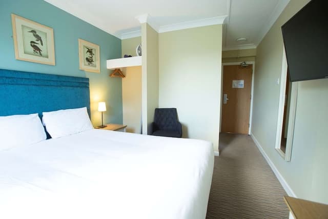 Deluxe Room, 1 King Bed, Non Smoking