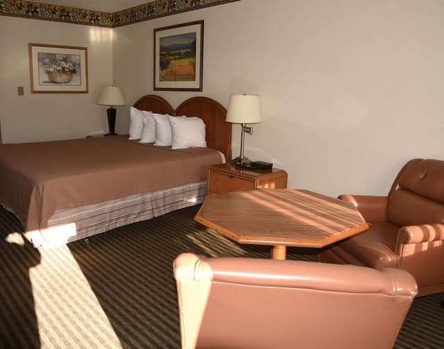 Business Room, 1 King Bed, Non Smoking (No Pets Allowed)