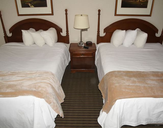 Room, 2 Queen Beds, Non Smoking (No Pets Allowed)