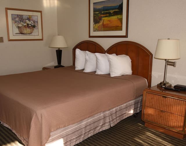 1 Queen Bed Non Smoking (Pet Friendly)