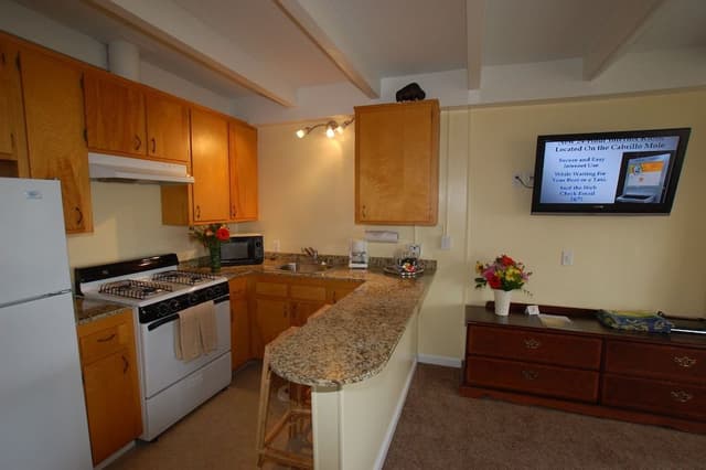 Suite (Mountain Side Mini 102)