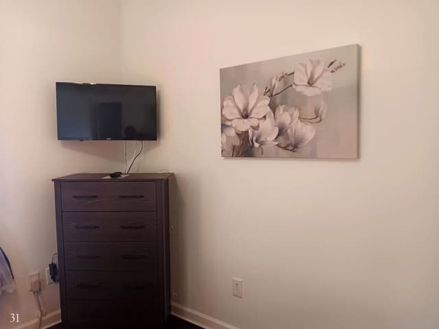 Standard Suite, 1 King Bed with Sofa bed (Room 31)