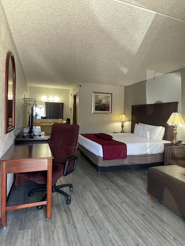 Standard Room, 1 King Bed, Non Smoking