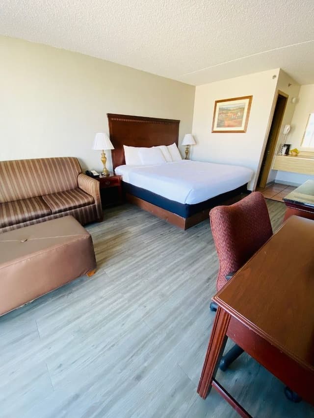 Standard Room, 1 King Bed, Non Smoking