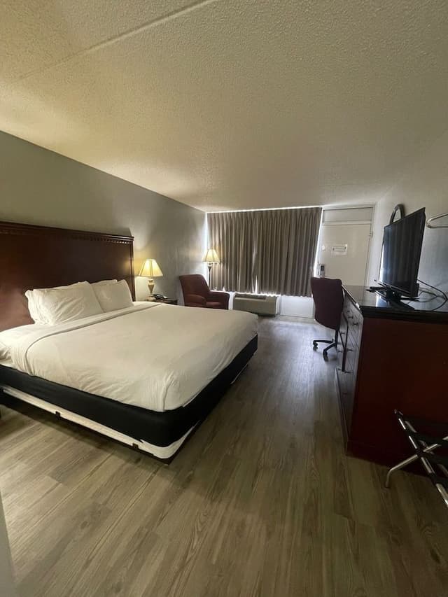 Standard Room, 1 King Bed, Non Smoking