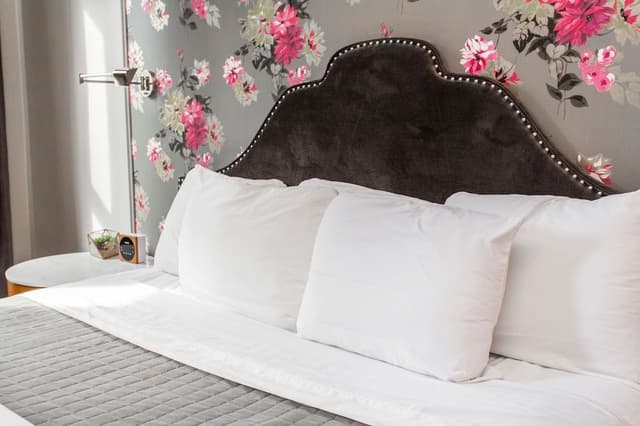 Room, 1 King Bed (Hoyne)