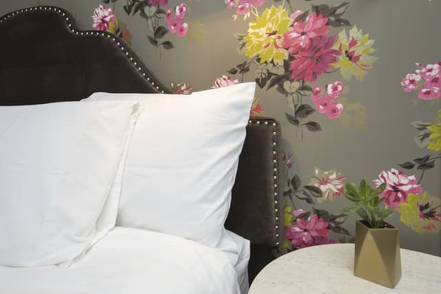 Room, 1 King Bed (Hoyne)