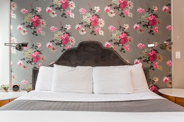 Room, 1 King Bed (Hoyne)