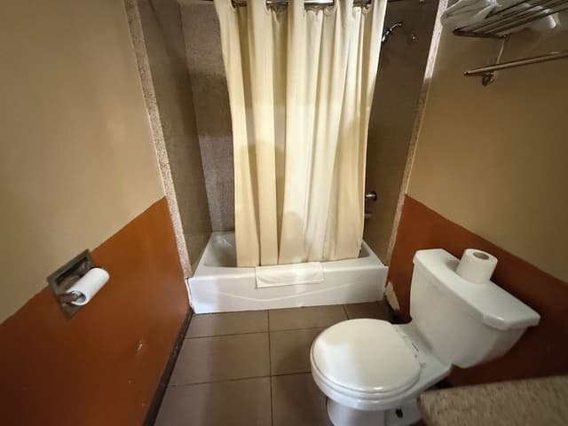 Room, 1 King Bed, Jetted Tub