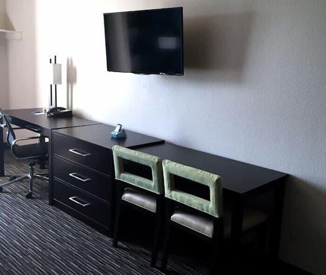 Studio, 1 King Bed with Sofa bed