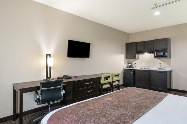 Studio, 1 King Bed with Sofa bed