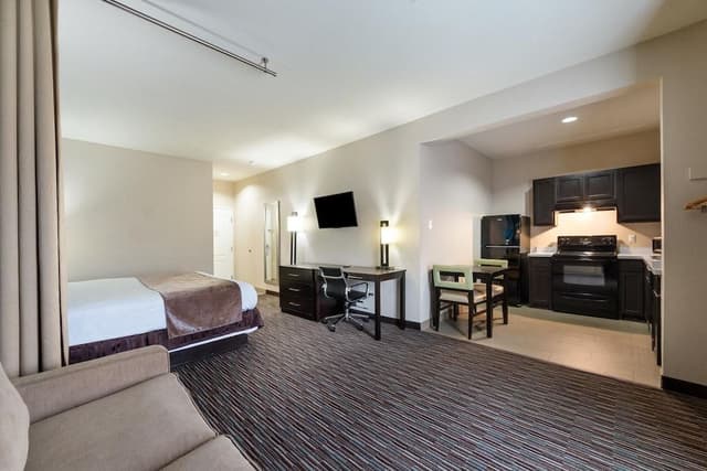 Studio, 1 King Bed with Sofa bed