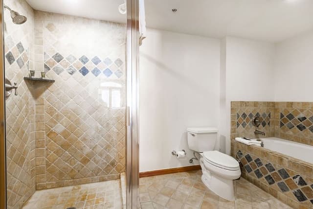 1-Bedroom Condominium with Spa #202