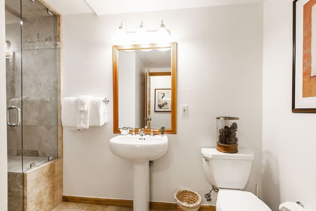 1-Bedroom Condominium with Spa #202