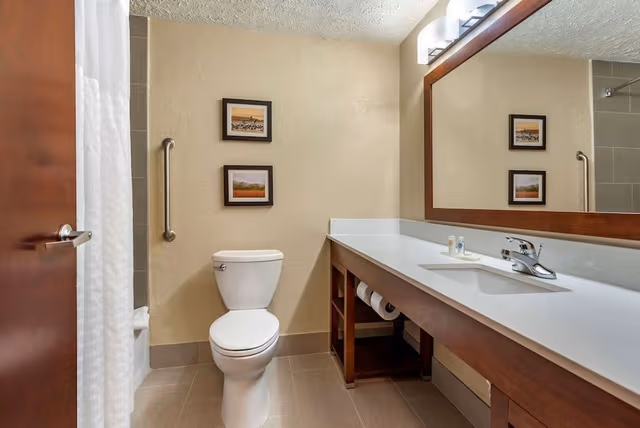 Room, 1 King Bed, Non Smoking (Wet Bar)