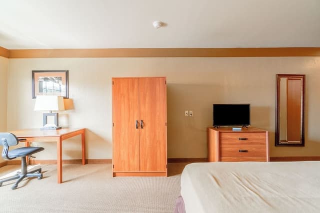 Room, 1 King Bed, Non Smoking