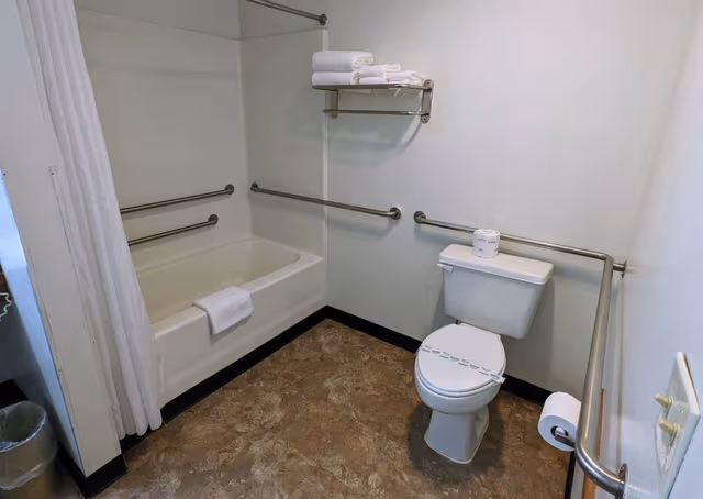 Standard Room, 1 King Bed, Refrigerator & Microwave
