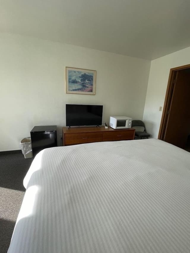 Standard Room, 1 King Bed, Accessible, Refrigerator & Microwave