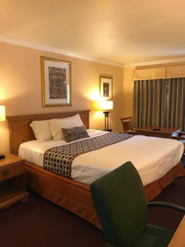 Room, 1 King Bed