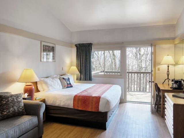 Room, 1 King Bed, Accessible