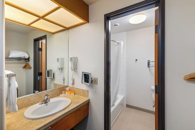 Deluxe Room, 1 King Bed, Air conditioning